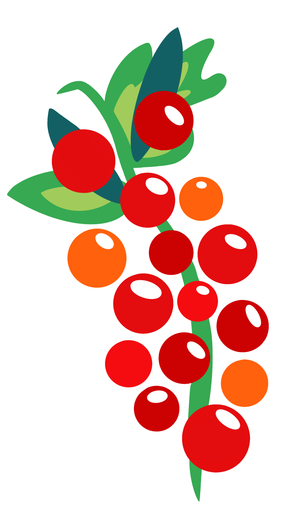 Red and orange grape design with a bright green vine